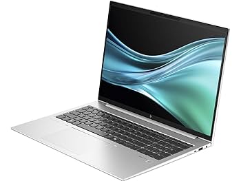 Amazon.com: HP EliteBook 865 G11 16